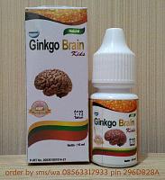 anak sulit konsen?atau hiperaktif? coba pake vitamin ini-order-ginkgo-brain.jpg