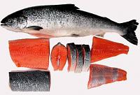 Jual ikan Salmon yang bermanfaat bagi ibu hamil & janin-salmon2a.jpg