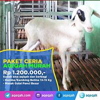 Catering AQIQAH Indonesia-18812801_425764911127958_4245185305029640192_n.jpg