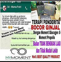 Propolis denga sejuta manfaat nya-fb_img_1506091493304.jpg