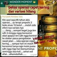 Propolis denga sejuta manfaat nya-fb_img_1506091496233.jpg