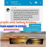 Propolis denga sejuta manfaat nya-fb_img_1506091503934.jpg