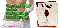 Manfaat WMP Untuk Menurunkan Berat Badan-manfaat-wmp-untuk-menurunkan-berat-badan.png