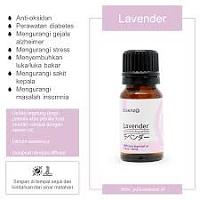 Atasi mual pada trimester awal kehamilan-lavender.jpg