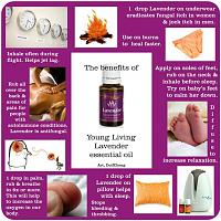 Essential Oils Young Living - Oils nya Ibu Hamil - healthy fun!-eo-lavender.jpg