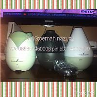 Essential Oils Young Living - Oils nya Ibu Hamil - healthy fun!-eo-diffuser.jpg