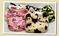 jual popok cuci ulang/cloth diapers/clodi-nifo-minky-collections.jpg