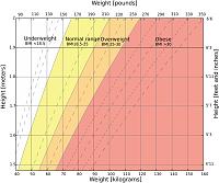 Berat ideal saat hamil-body_mass_index_chart.svg_-1024x853.jpg