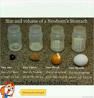 Perbandingan ukuran perut dan kebutuhan asi bayi newborn-tmpdoodle1438157651076.jpg