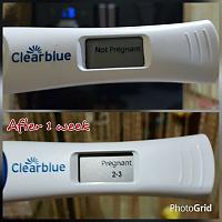 Alhamdulillah I'am Pregnant, tapi Galau nich-pregnant.jpg