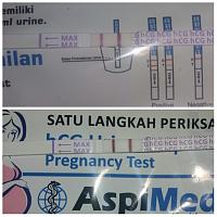 Promil anak kedua susah banget-photogrid_1497639881438.jpg