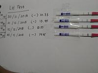 Tentang Alat Tes Strip Hari Kesuburan/Ovulation test/LH Test-1543825652313..jpg