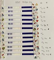 Sharing Promil dengan Kesuburan Ovutest Strip, hasil testnya begini bun.-7912688d-56ca-4fee-87dc-17606acf3ce4.jpg