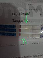 Telat seminggu Tespack positif terus haid-img_20190410_165446.jpg