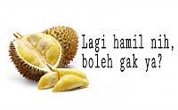 Bolehkah Ibu Hamil Makan Durian?-wpid-durian-lagi-hamil-jpg.jpg